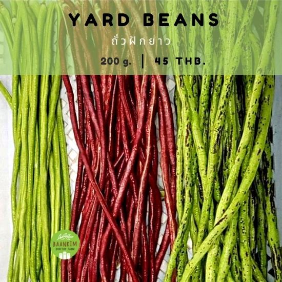 ถั่วฝักยาว (Yard Beans)