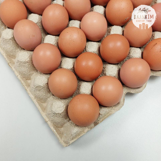 ไข่ไก่บ้านริม (Chicken Eggs)