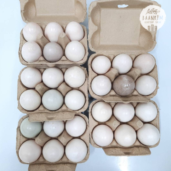 ไข่เค็ม (Salted Eggs)