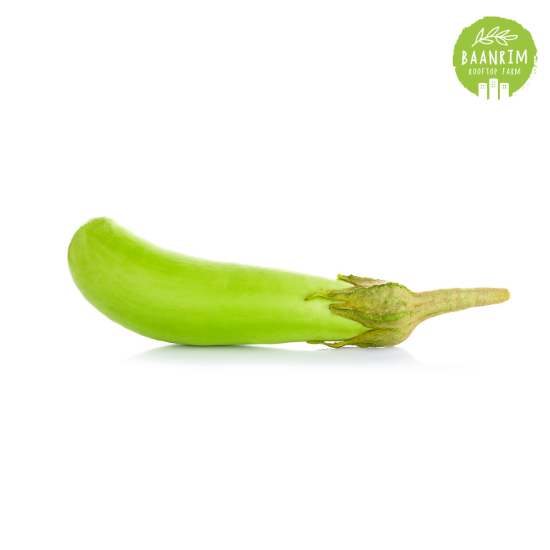 มะเขือยาว (Thai Long Green Eggplant)