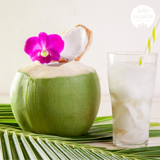 มะพร้าว (Coconut)