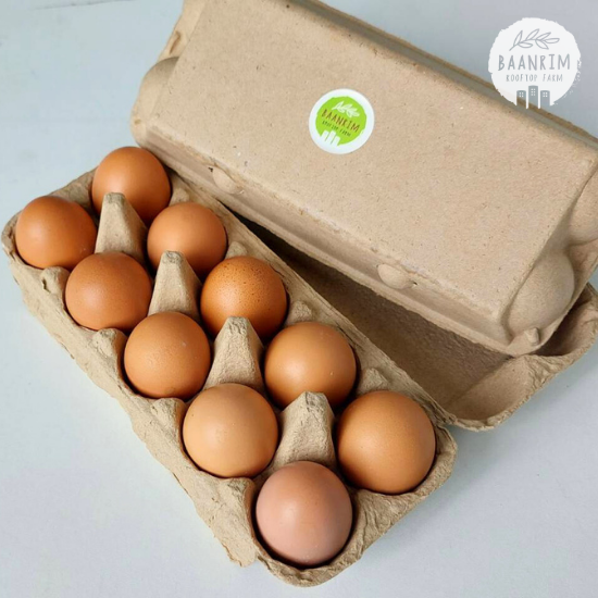 ไข่ไก่บ้านริม (Chicken Eggs)